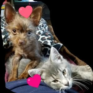 Meet your Posher, Bobbi jo